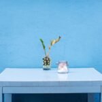 How to Care for Your Flowers and Keep Them Blooming Longer